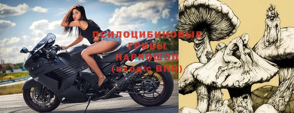 индика Майский