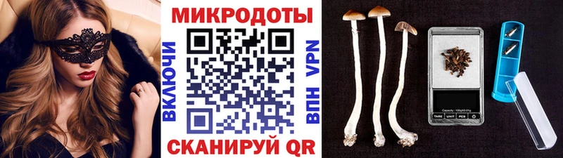 Псилоцибиновые грибы GOLDEN TEACHER  купить  сайты  Бердск 