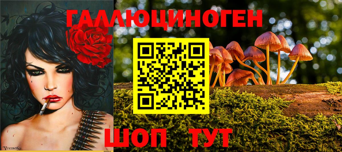 Галлюциногенные грибы мицелий Бердск